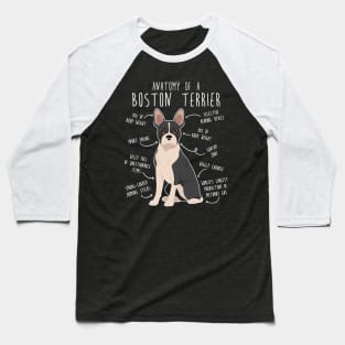 Boston Terrier Dog Anatomy Baseball T-Shirt